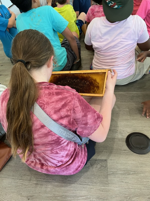 Summer Reading Program 2024